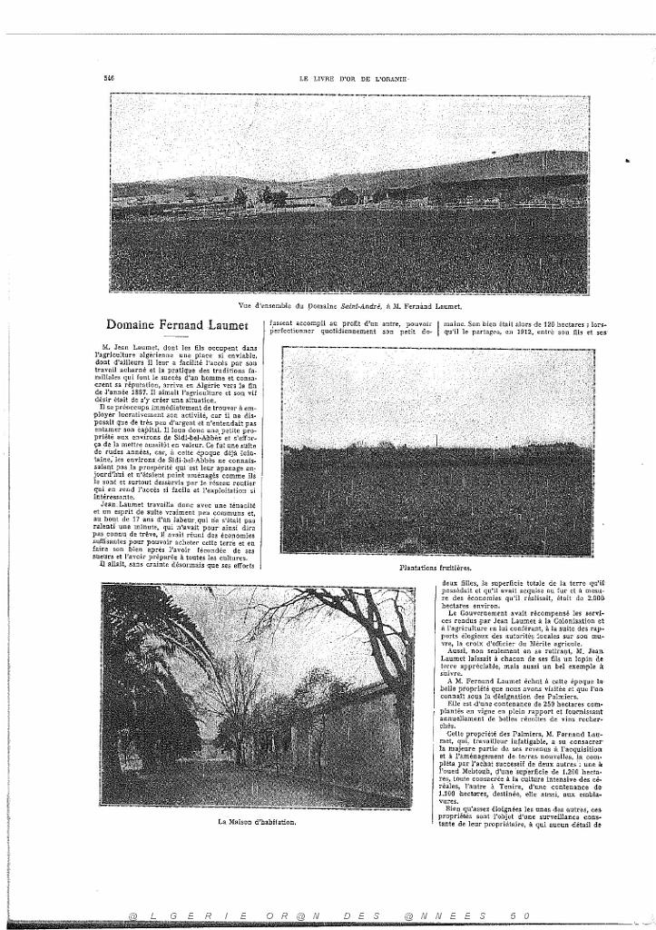 LIVRE D OR DE L ORANIE_000085.jpg